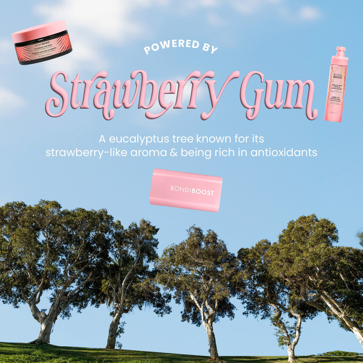 HEALTHY GROWTH AND STYLING KIT