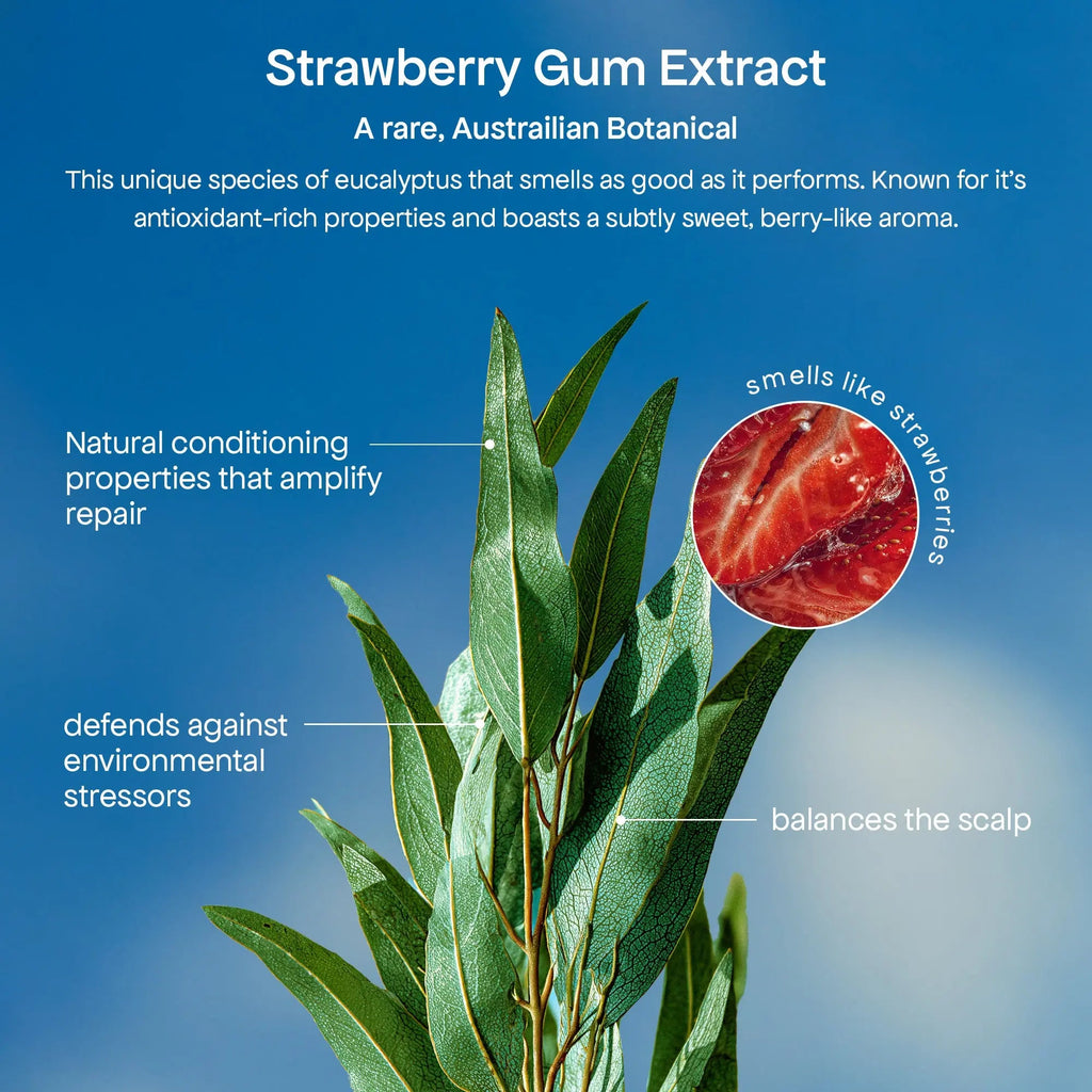 STRAWBERRY SUPER SYSTEM